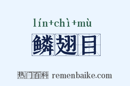鳞翅目是什么意思的图片